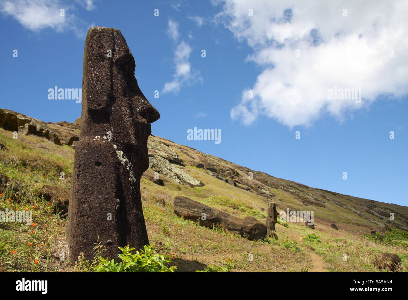 Stone statues moai standing on the hill on Easter Island Stock Photo