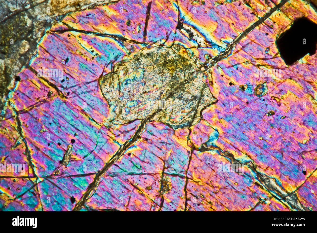 Mineral microscope slide section of Kentallenite rock using cross