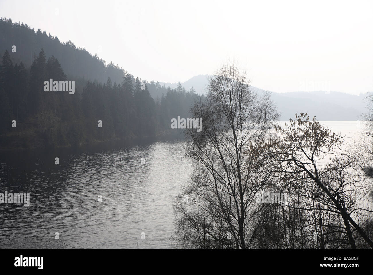 Germany, Harz, Saxony-Anhalt, Saxony, Anhalt, Sachsen, Sachsen-Anhalt, Harz Mountains lake stausee Stock Photo