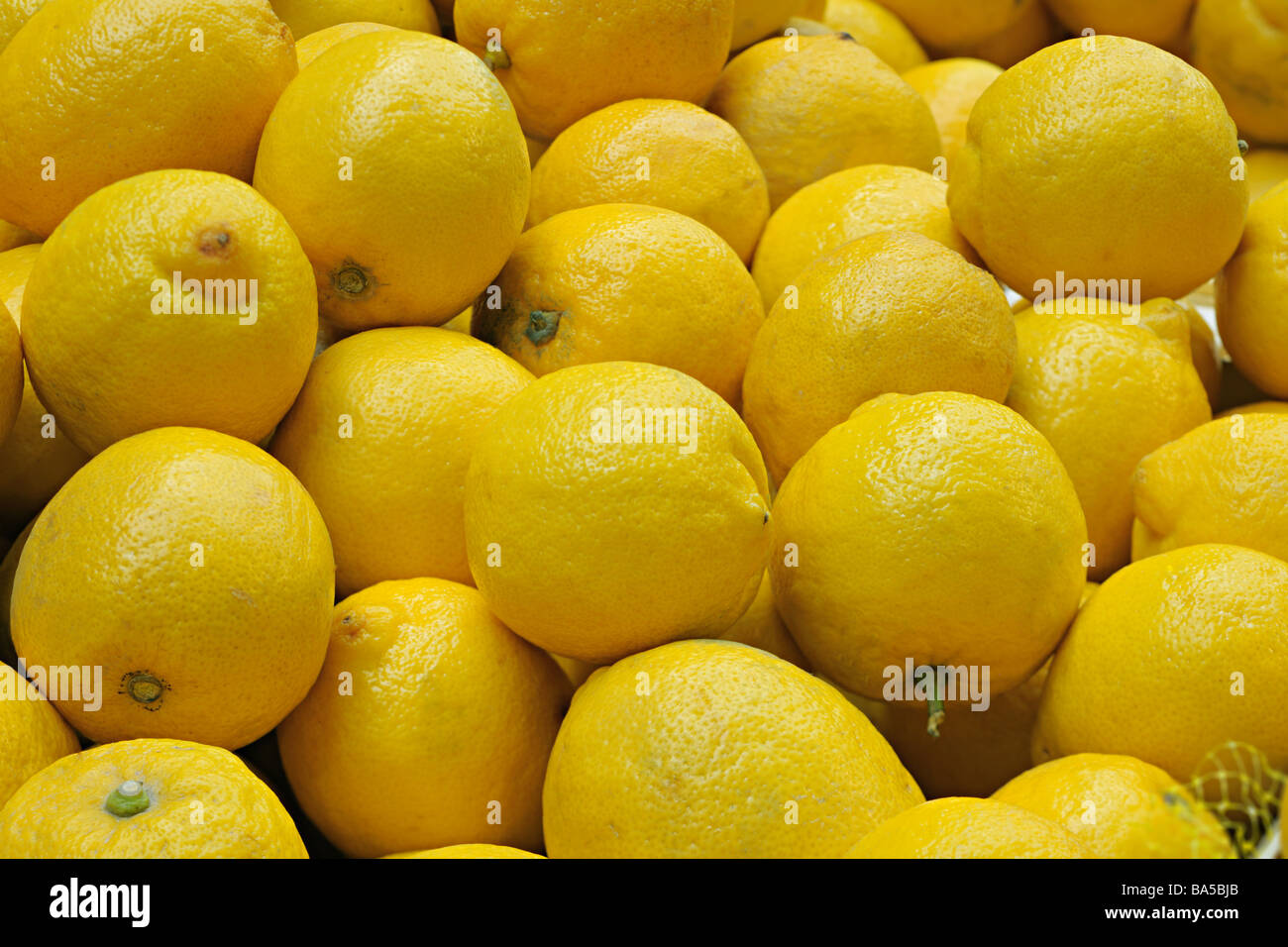 Closeup of collection of whole lemons on a market stall Stock Photo