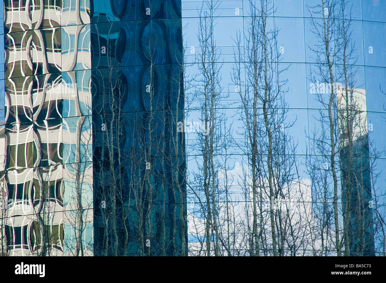 Patterns of distortion reflected from the glass facade of a high-rise ...