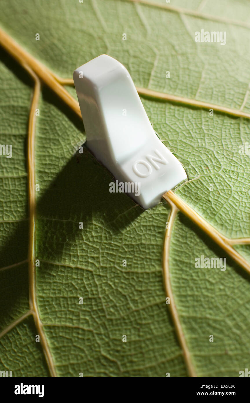 Electrical switch in a green leaf Stock Photo