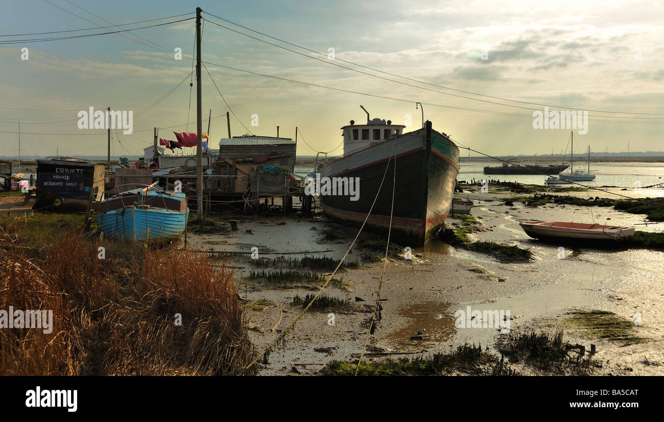 House Boats on West Mersea island Stock Photo Alamy