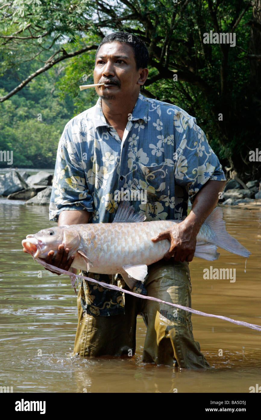 Man with mahseer fish, a type of carp, caught at Kuala Koh in Taman Negara, Peninsular Malaysia's largest national park Stock Photo