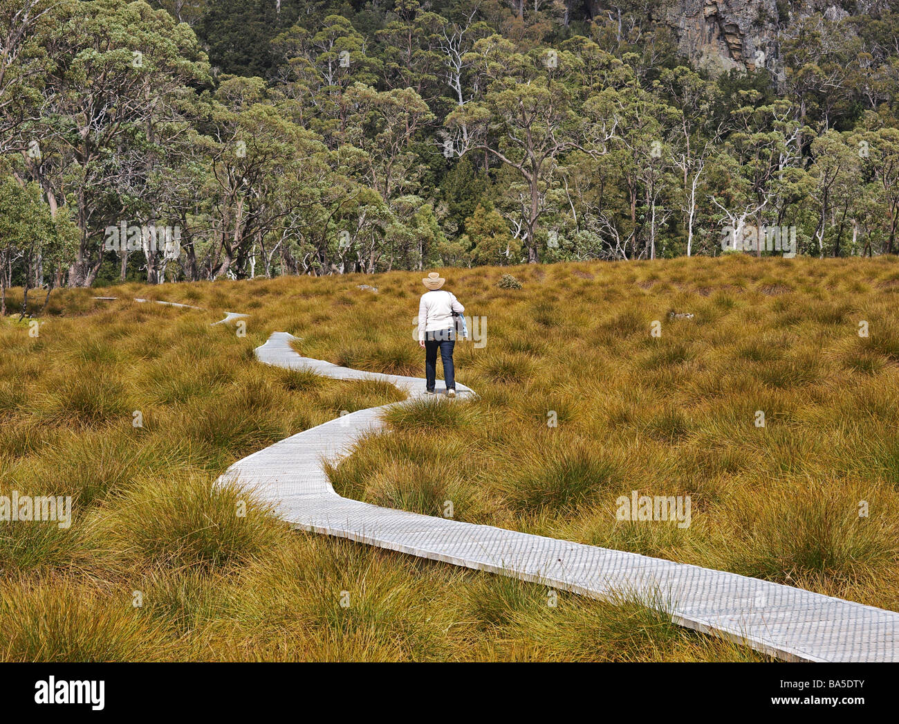 Cradle valley boardwalk hires stock photography and images Alamy