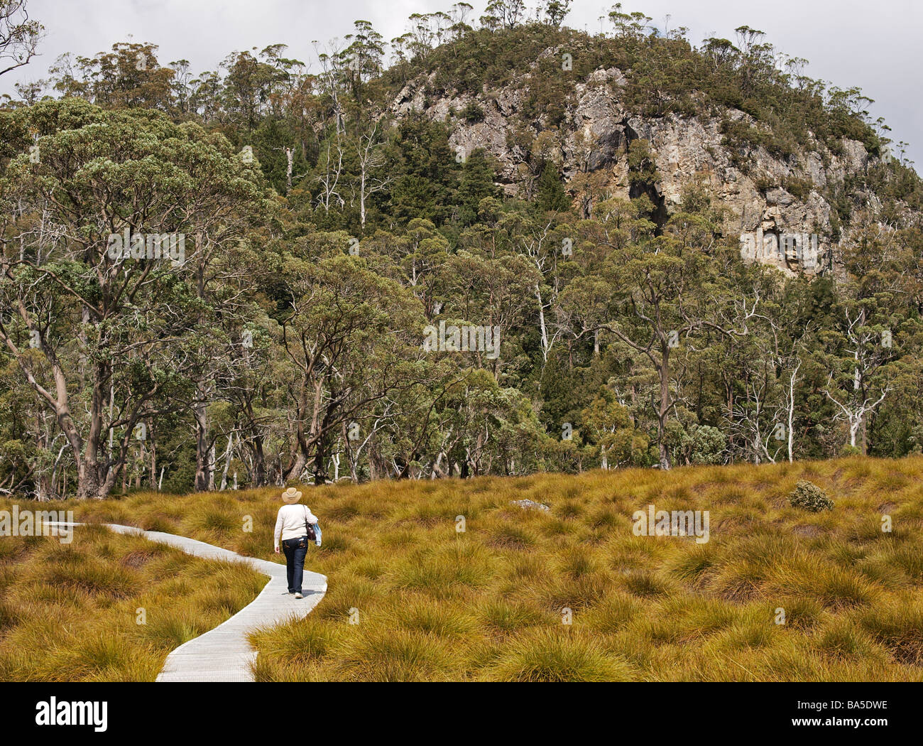 WALKER ON BOARDWALK CRADLE MOUNTAIN VALLEY PART OF THE LAKE ST CLARE