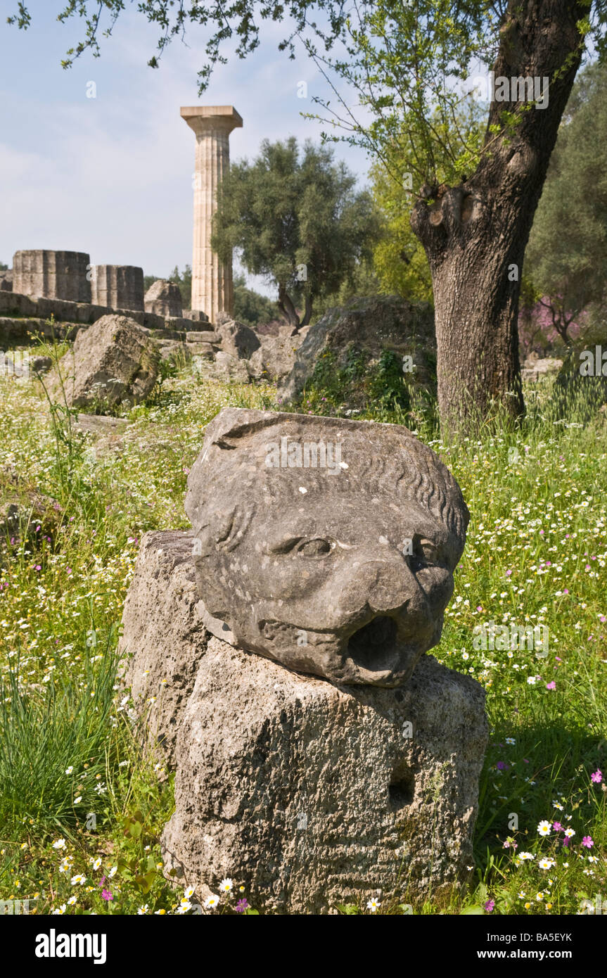 An ancient animal head from the temple of Zeus lies amongst the spring wild flowers at ancient Olympia, Peloponnese, Greece Stock Photo