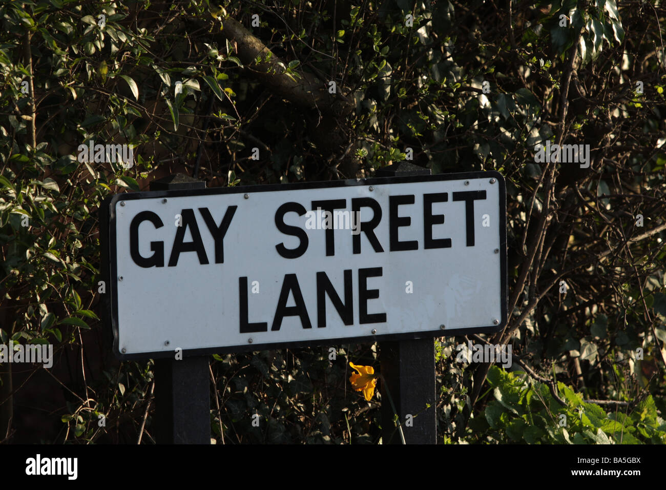 gay street lane Stock Photo Alamy