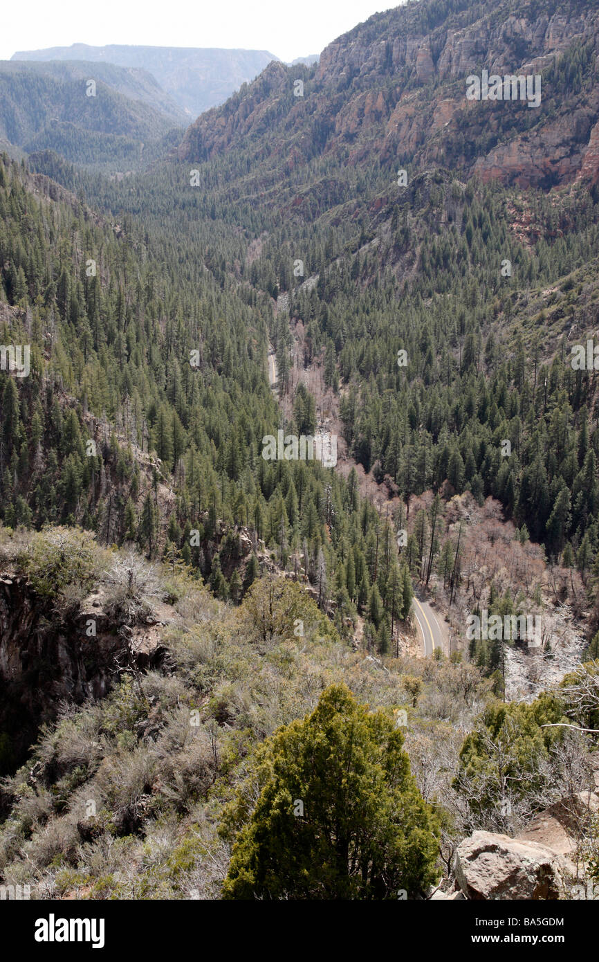 view of oak creek canyon from the viewing area on highway 89a within the coconino national