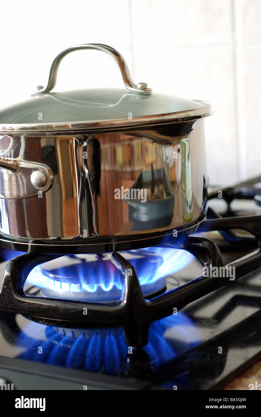Pot on the gas stove Stock Photo Alamy