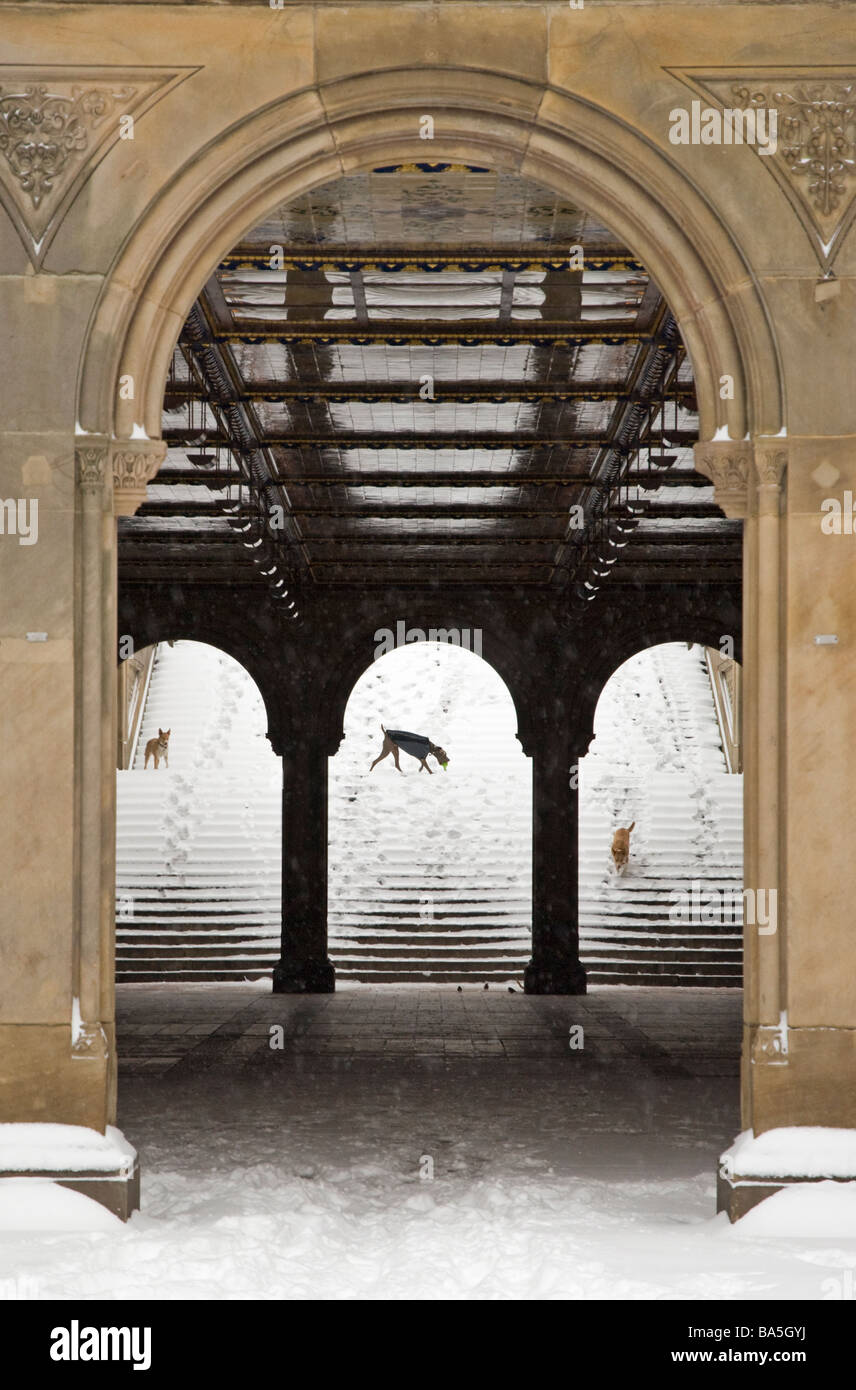 Winter at Bethesda Terrace in Central Park New York City Stock Photo - Alamy