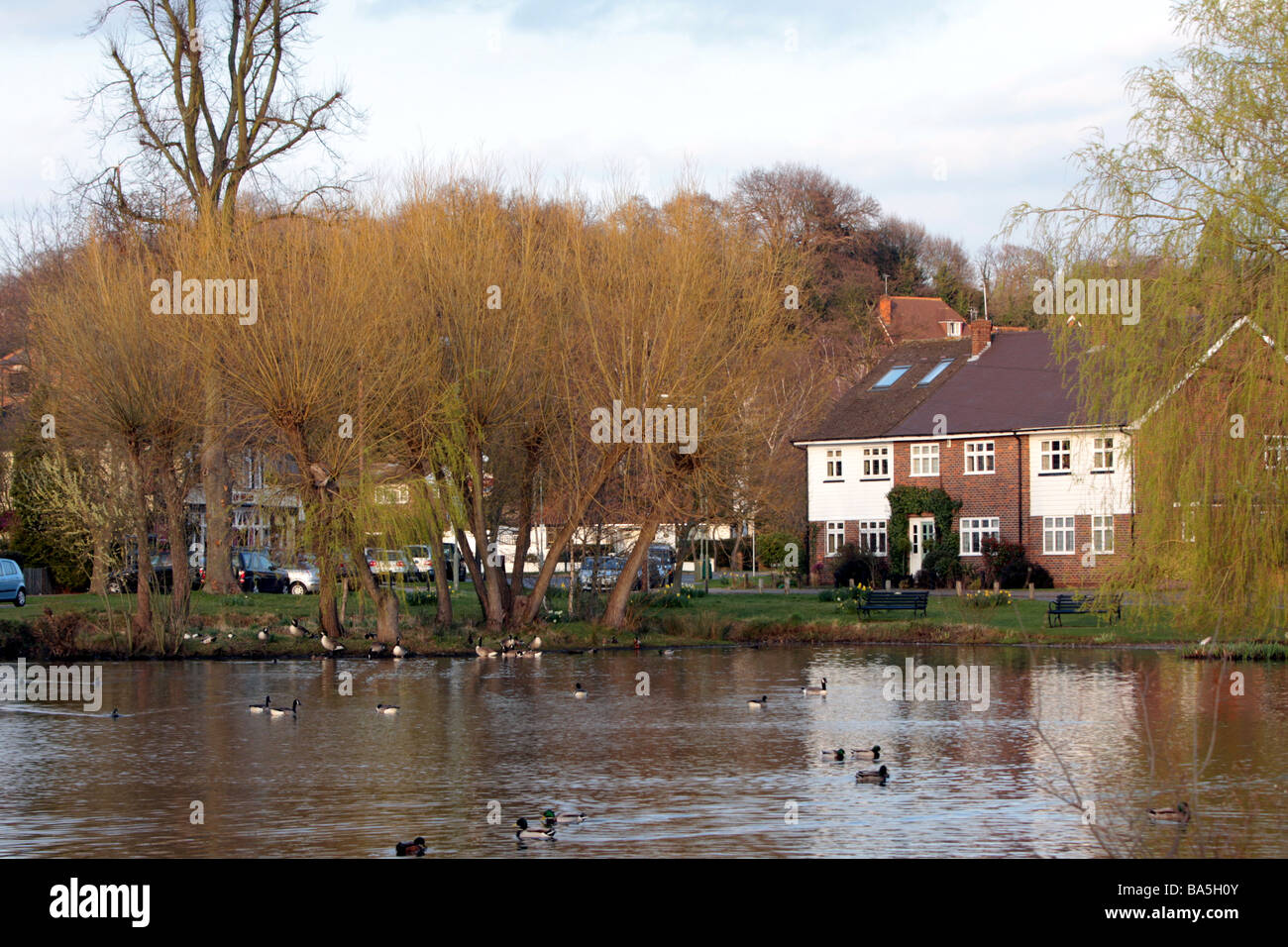view over village pond west end esher surrey kt10 Stock Photo Alamy