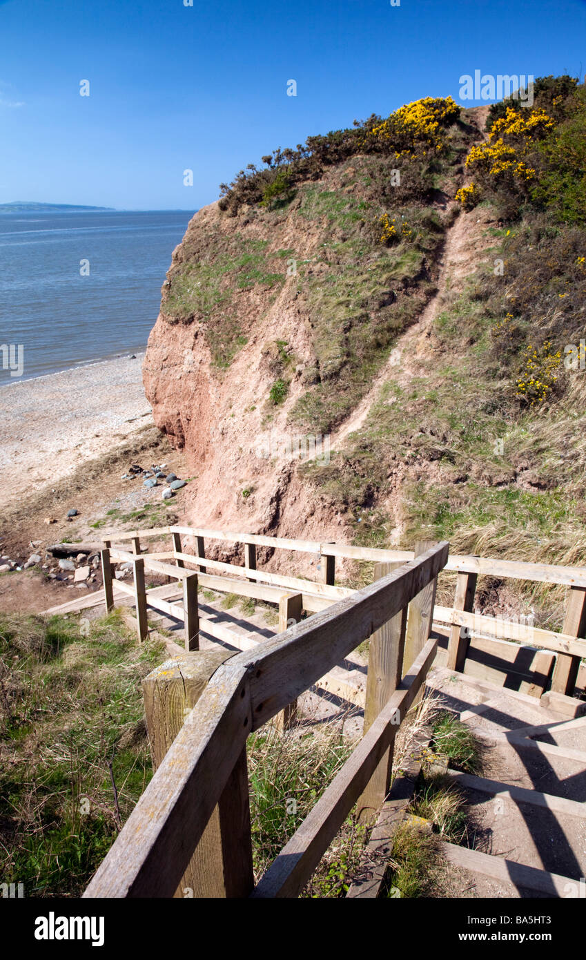 Clay cliffs at Thurstaston part of the National Trust and wooden steps to the shoreline, Wirral, England, UK Stock Photo