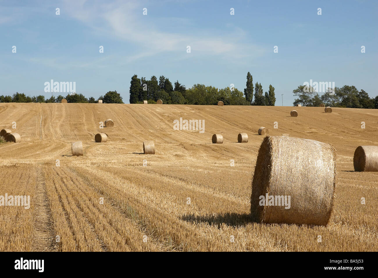 A summer landscape with hay bales and deep blue sky Stock Photo - Alamy