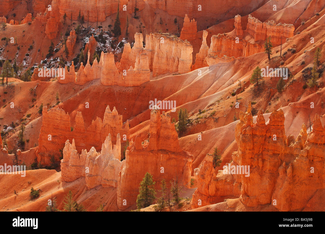 Bryce Canyon in Early morning light Stock Photo