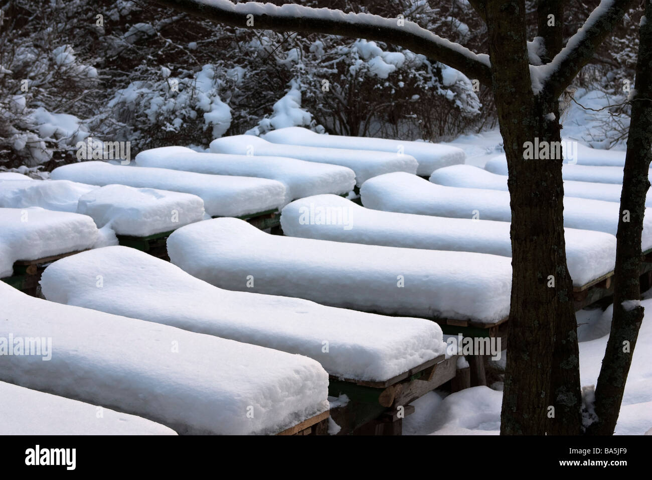 Sun beds covered with snow during winter. Stock Photo