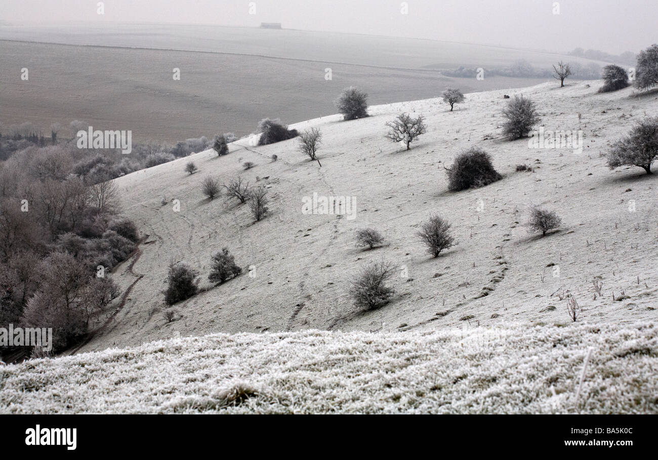 fields covered with hoar frost hoarfrost at Wiltshire, UK in January Stock Photo