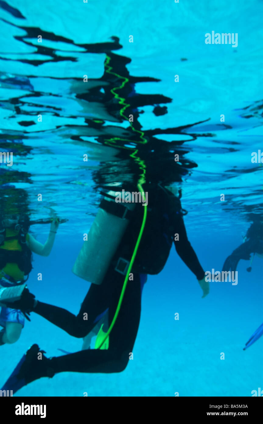 scuba diver in wetsuit floating in blue caribbean water near bonaire