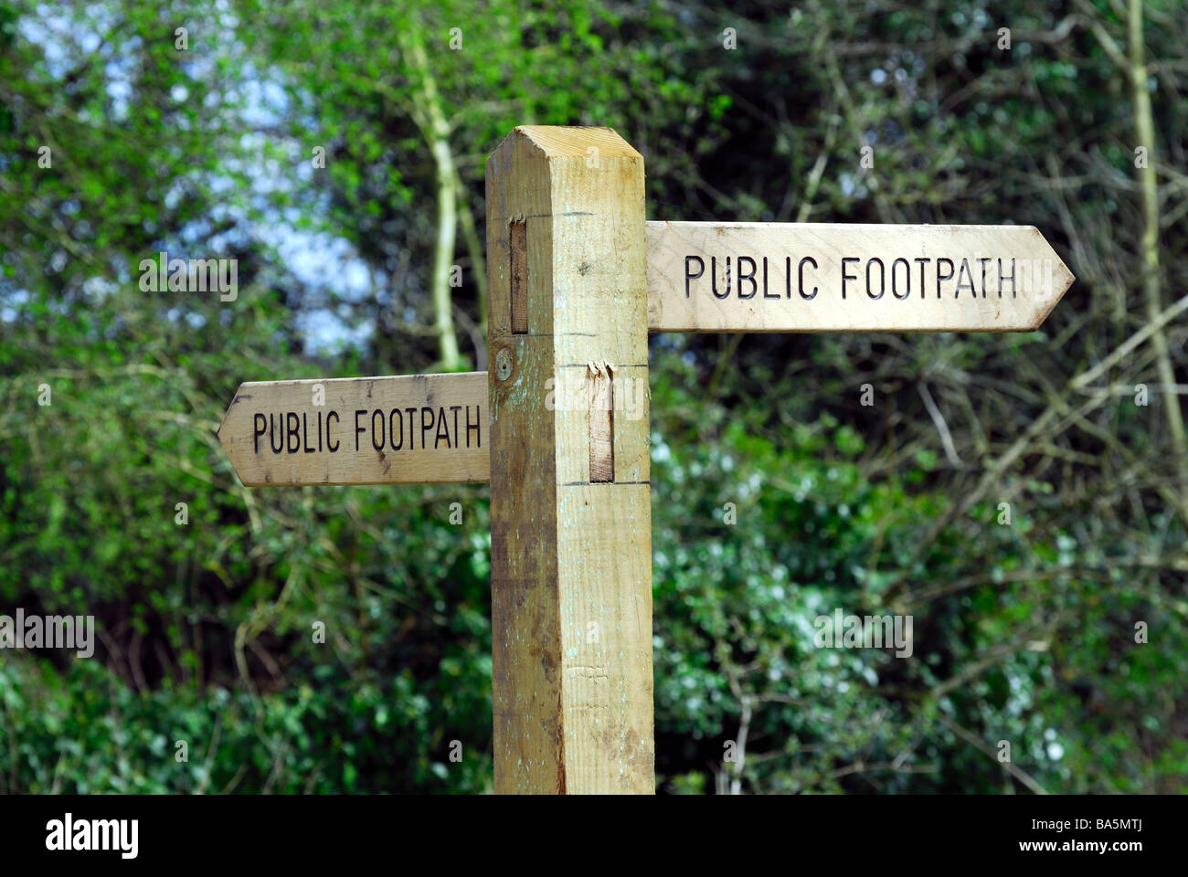 Wooden public footpath sign in Surrey Hills UK Stock Photo