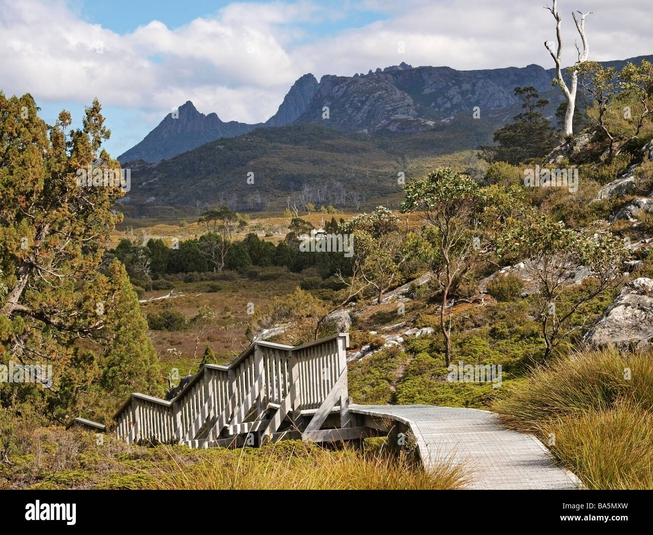 CRADLE MOUNTAIN VALLEY BOARDWALK PART OF THE LAKE ST CLARE NATIONAL