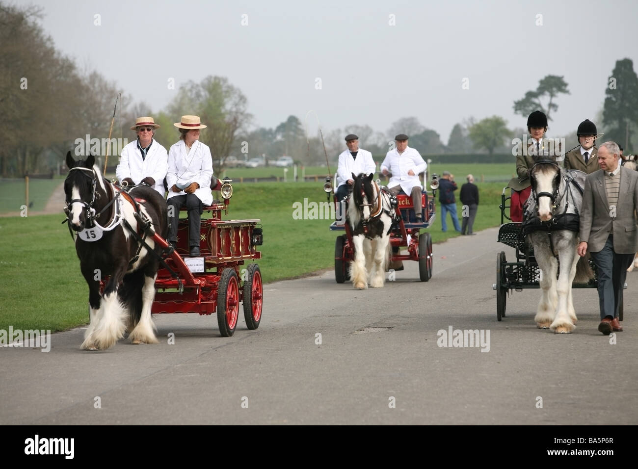 Horses pulling carriages at The London Harness Horse Parade Stock Photo