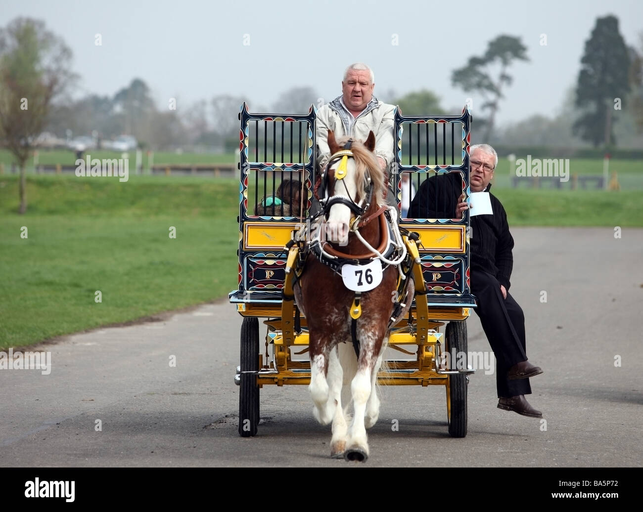 Horse pulling a carriage at the London Harness Horse Parade Stock Photo