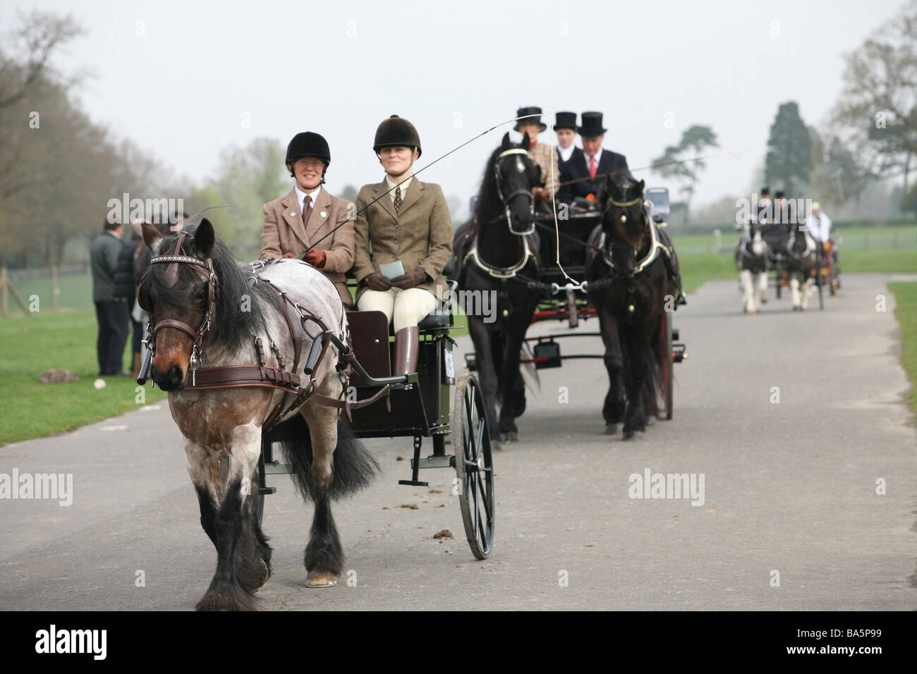 Horses pulling carriages at the London Harness Horse Parade Stock Photo