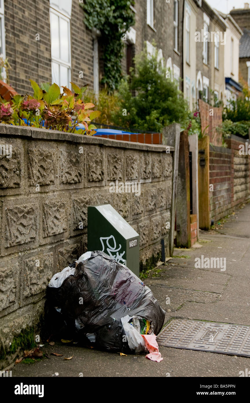 Rubbish bag, ripped open with rubbish spilling out on a pavement in a