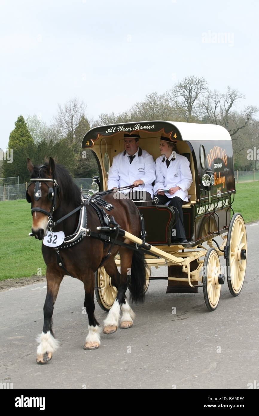 Horse pulling a carriage at the London Harness Horse Parade Stock Photo