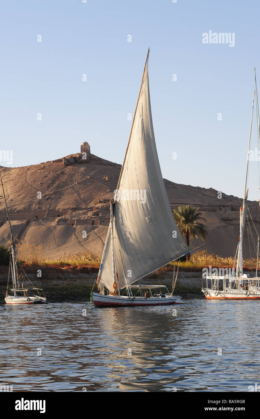 Egypt Aswan felucca boats ply the Nile River Stock Photo - Alamy