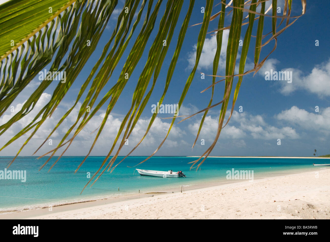 beach Dos Mosquises Los Roques National park Venezuela South America