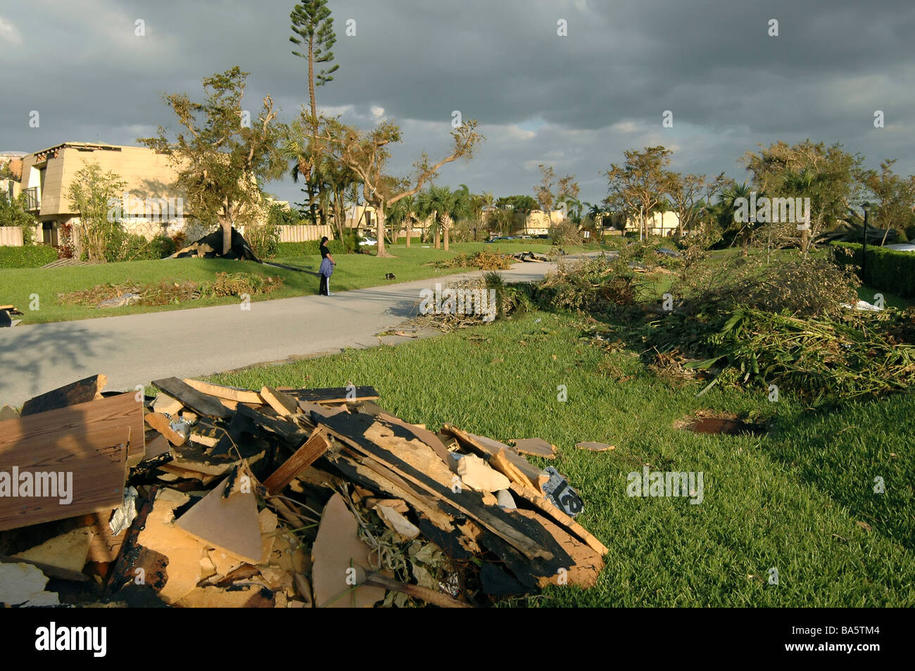 Hurricane wilma palm trees hi-res stock photography and images - Alamy