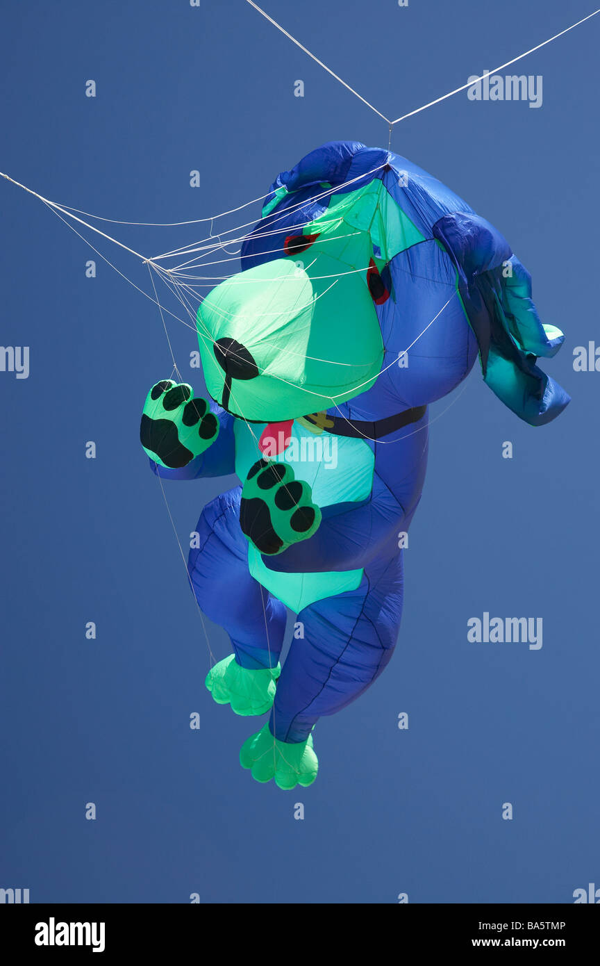 Do Kites Attack Dogs at Allen Birch blog