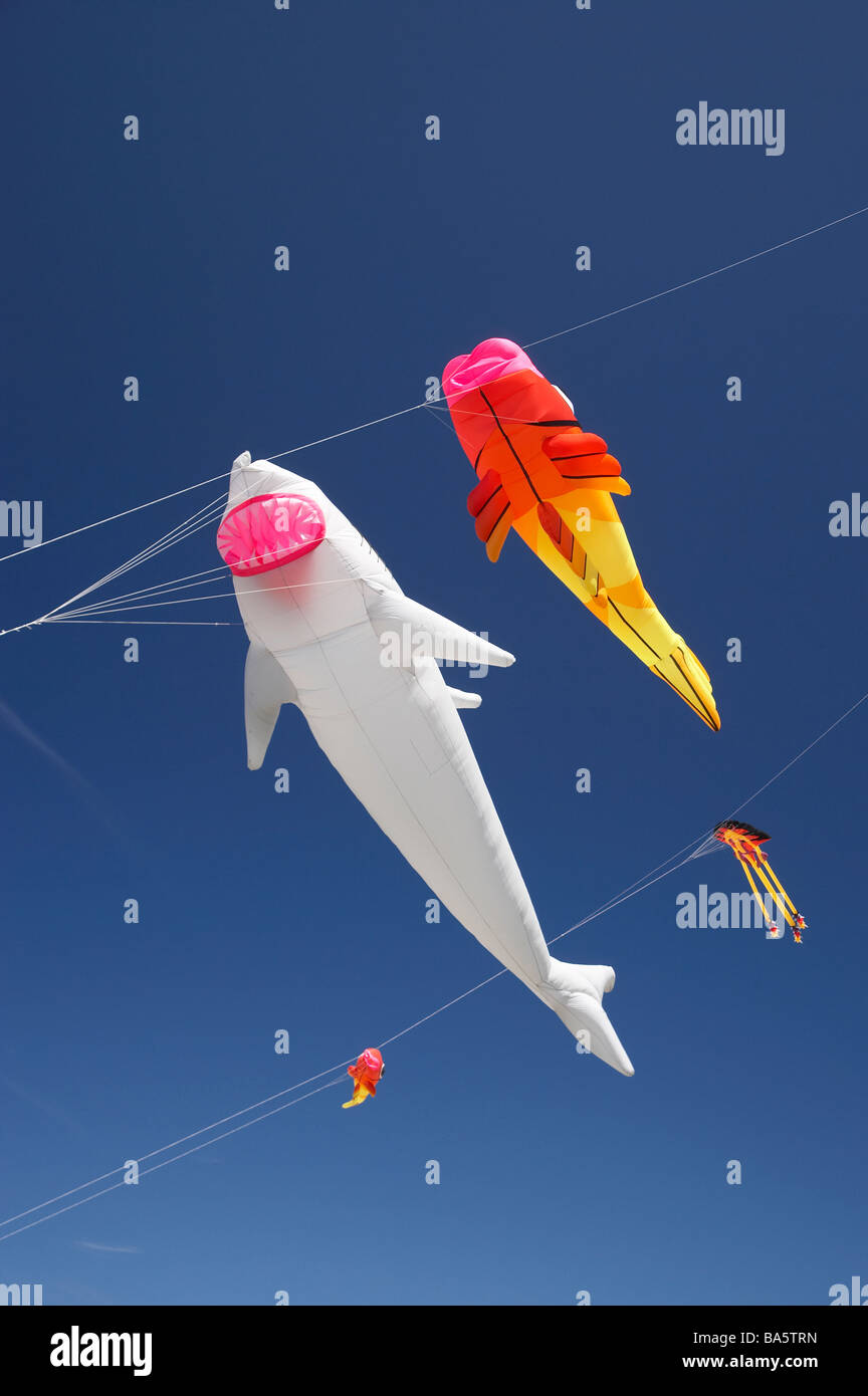 Fish Kite and Shark Kite Dunedin Otago South Island New Zealand Stock