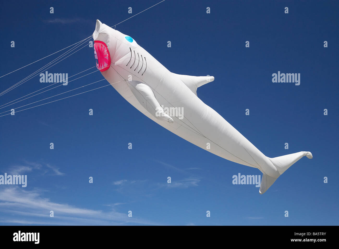 Shark Kite Dunedin Otago South Island New Zealand Stock Photo Alamy