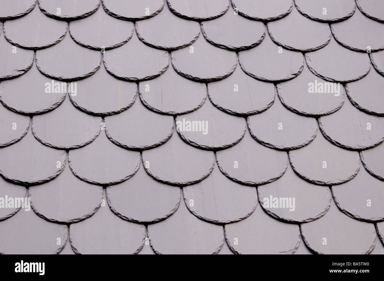 Slate shingles, tiles on the roof of a house. Like scales on the back