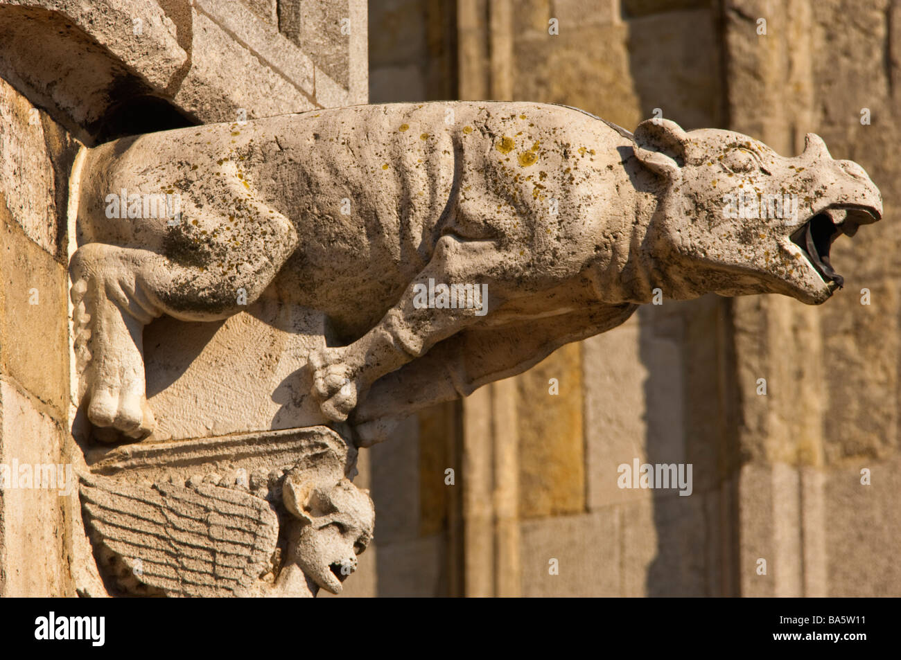 download gargoyles on catholic churches download gargoyles on catholic churches