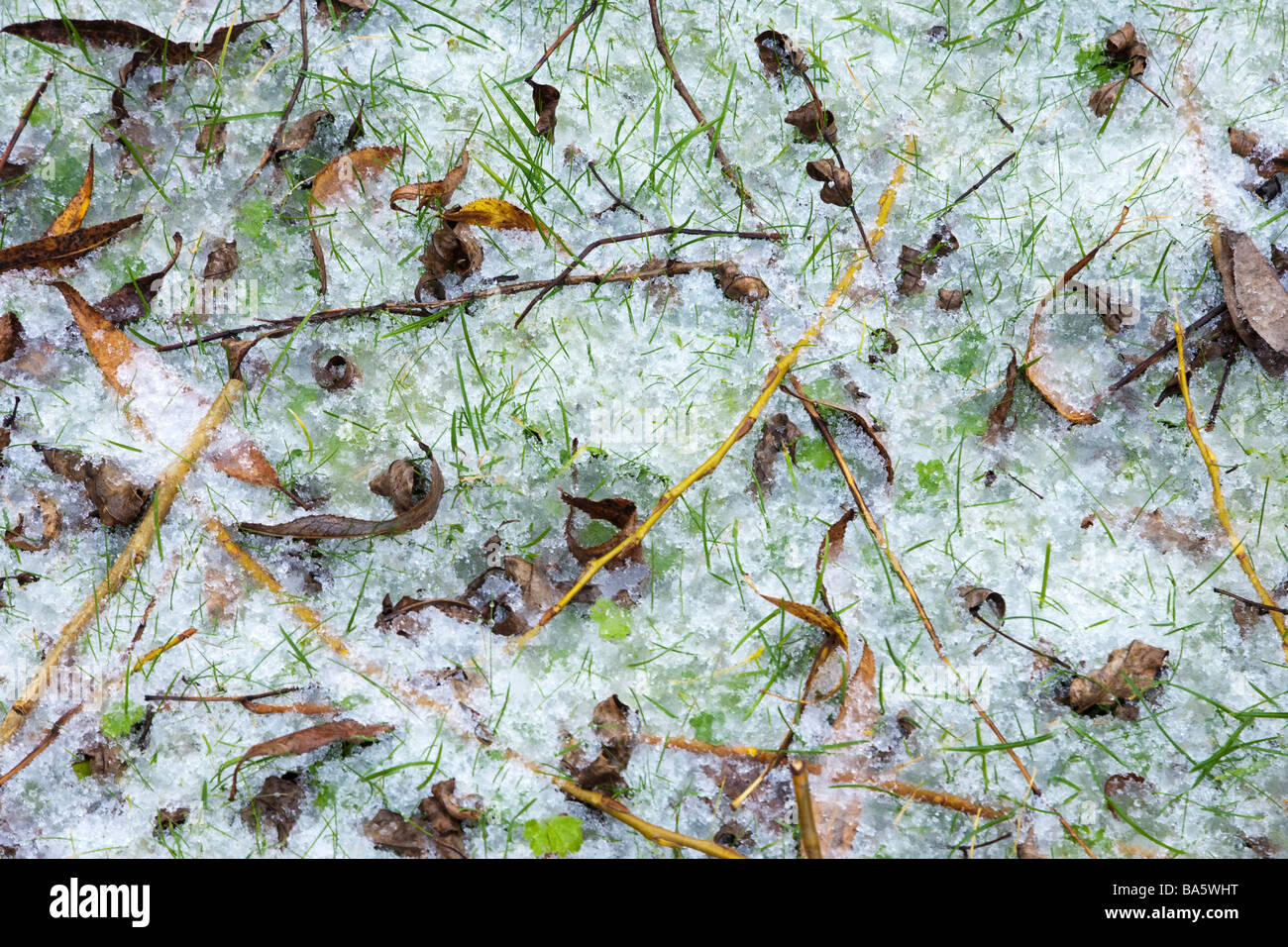 Covered with grass hi-res stock photography and images - Alamy