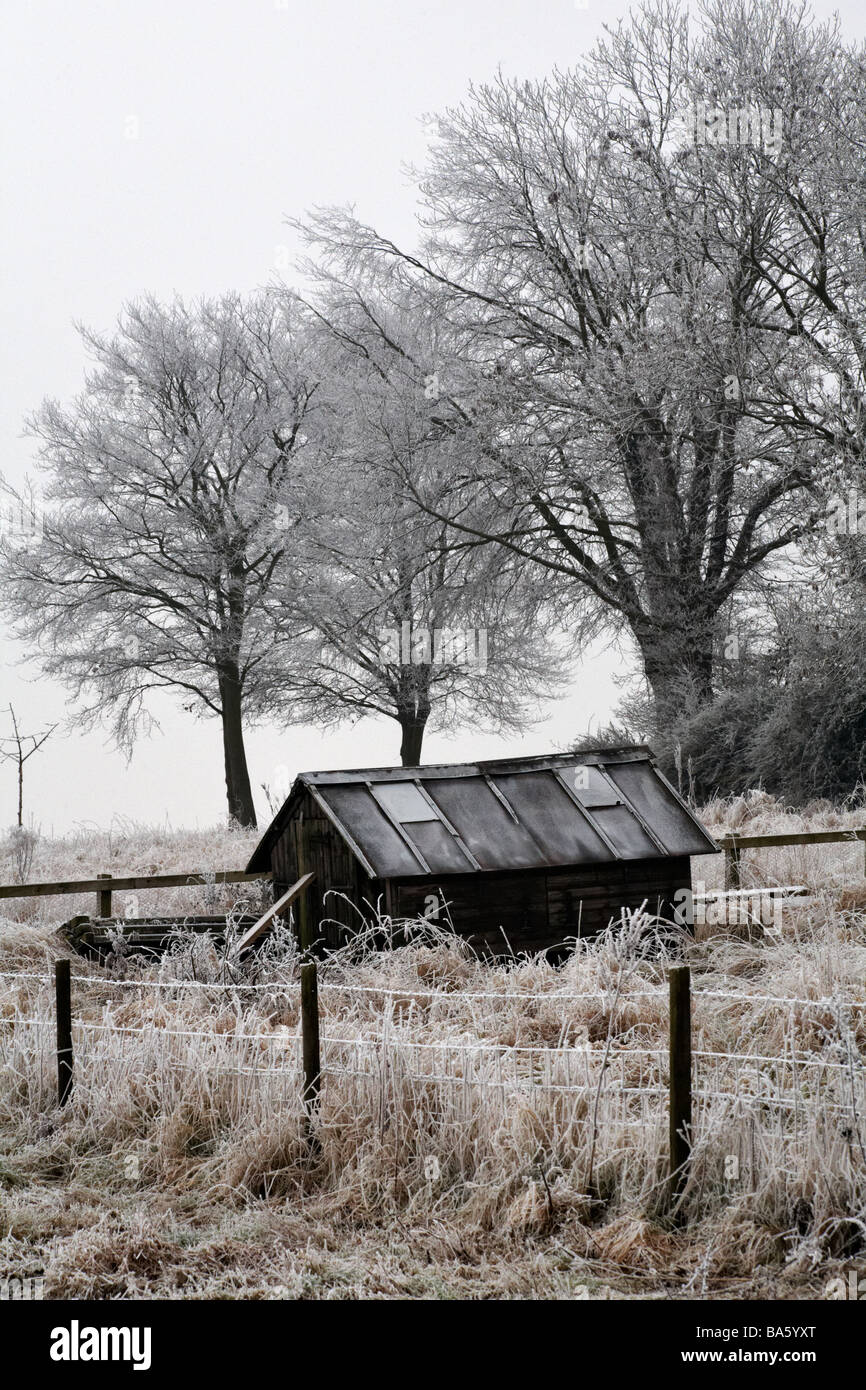 shed and trees covered with hoar frost hoarfrost at Wiltshire, UK in January Stock Photo