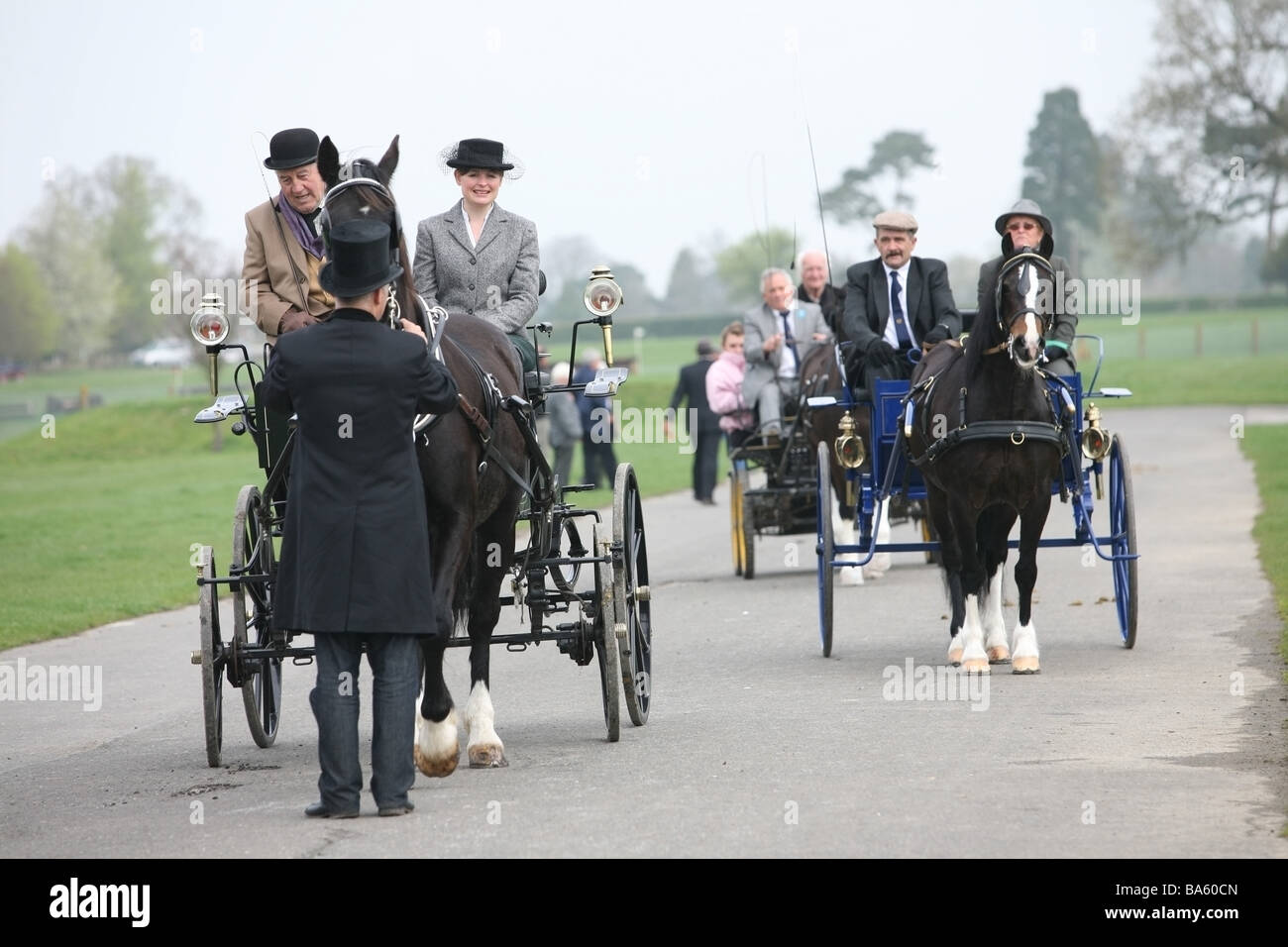 Horses pulling carriages at the London Harness Horse Parade Stock Photo