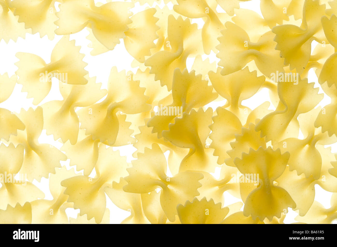 Noodles Farfalle series broached food pasta pasta carbohydrate bows of