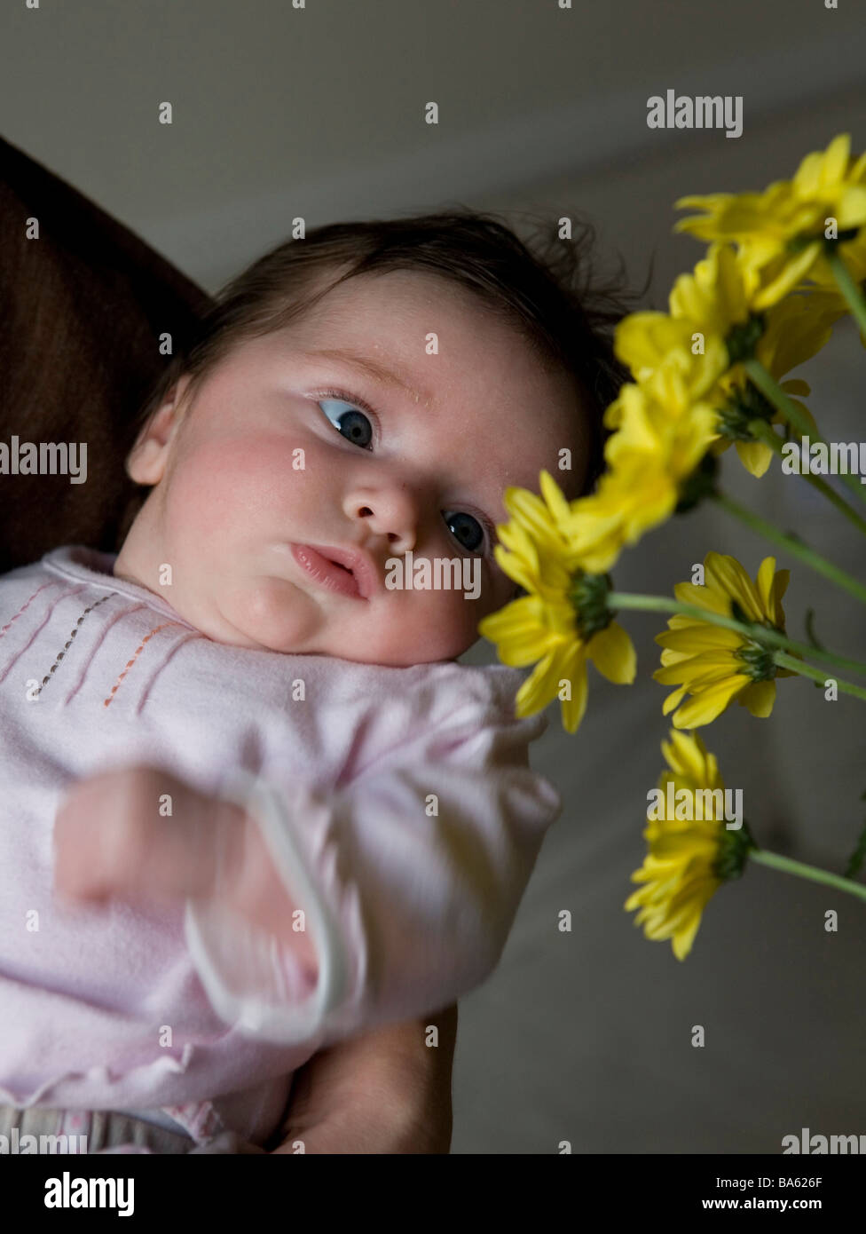 Portrait of a baby girl Stock Photo - Alamy