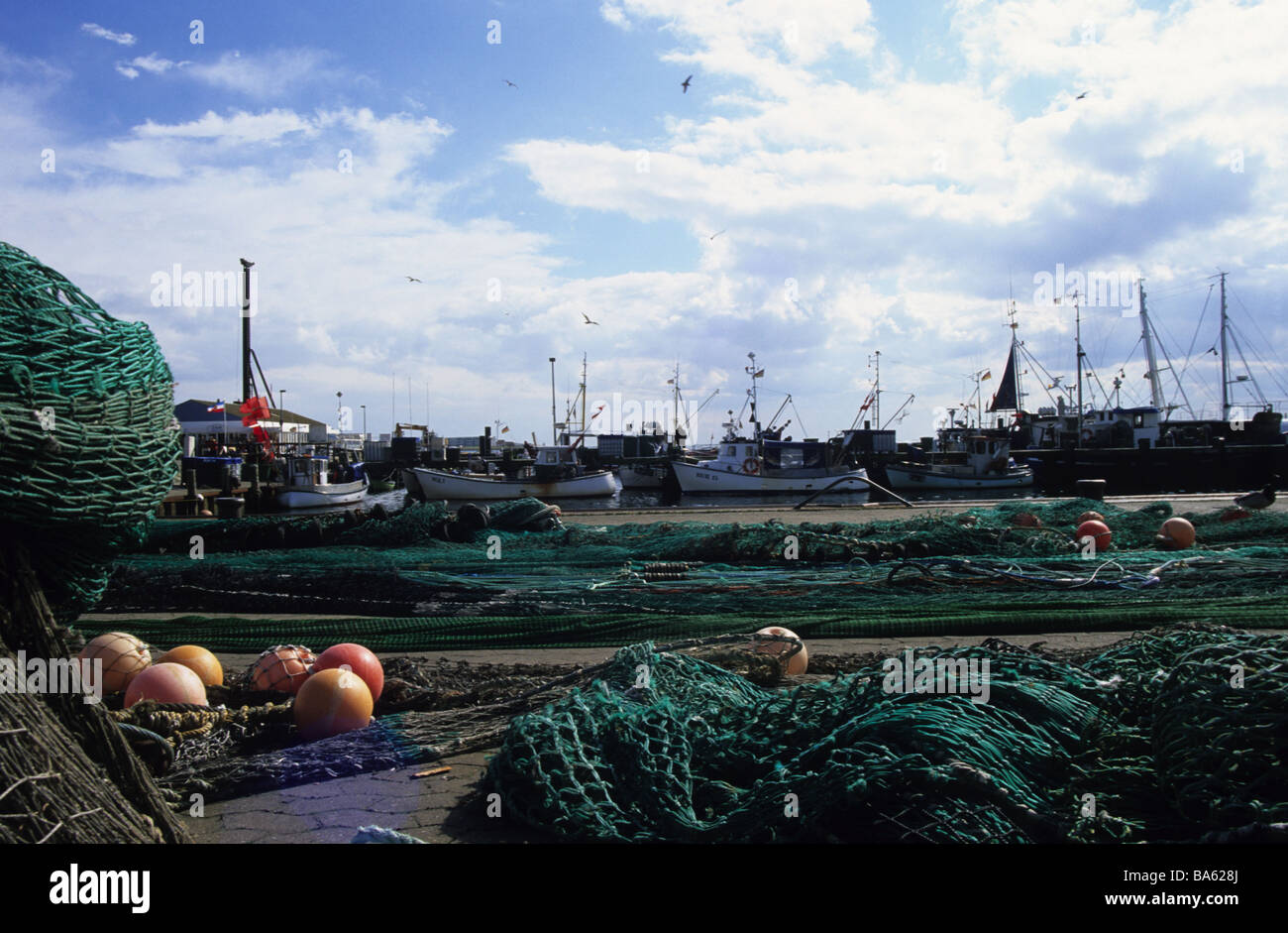 Germany island Fehmarn Burgstaaken harbor fisherboats quay