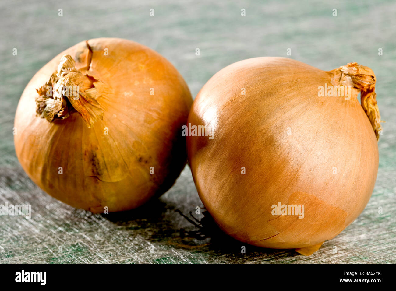 Two onions Stock Photo