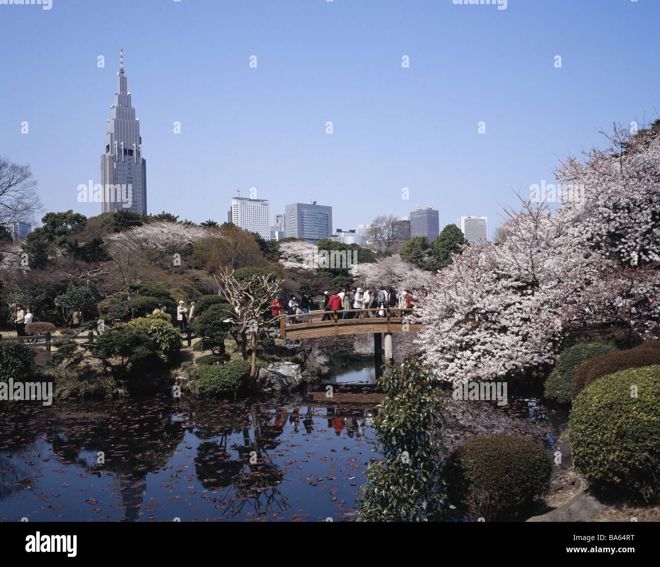 Japan tokyo hanami shinjuku hi-res stock photography and images - Alamy