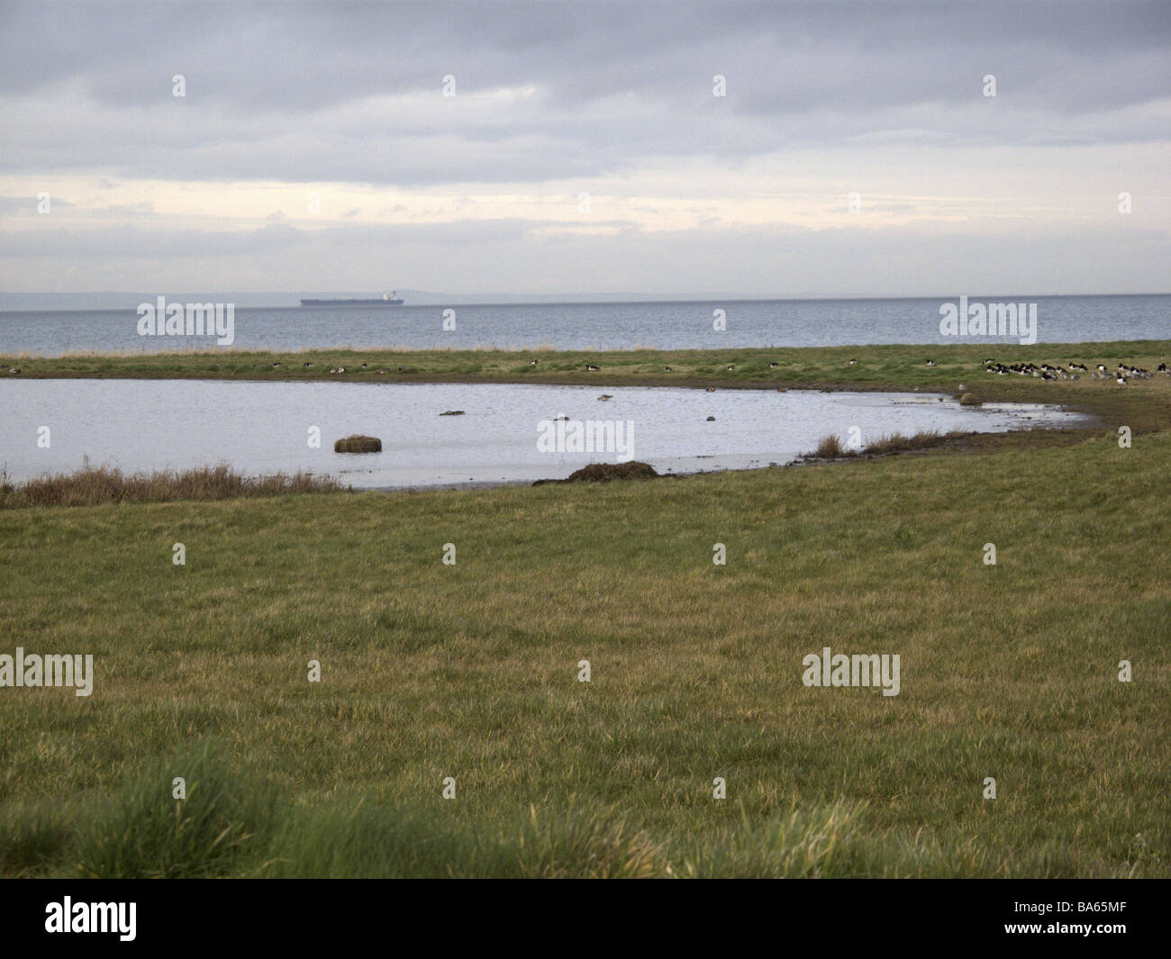 Musselburgh lagoons near Edinburgh Scotland Stock Photo