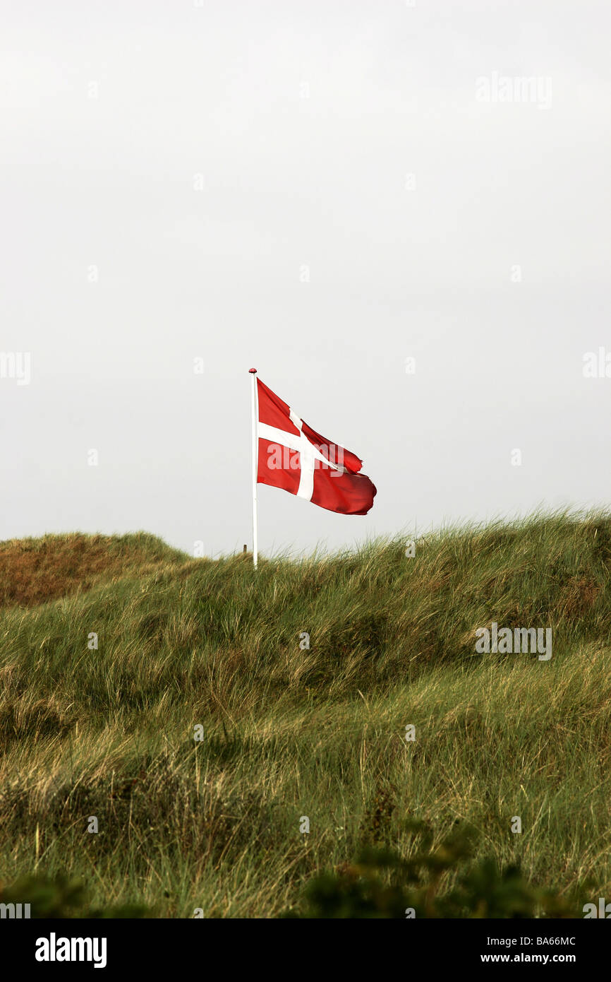Denmark dunes national-flags Scandinavia landscape dune-landscape beach-dunes grass beach-oat movement wind breezy flagpole Stock Photo