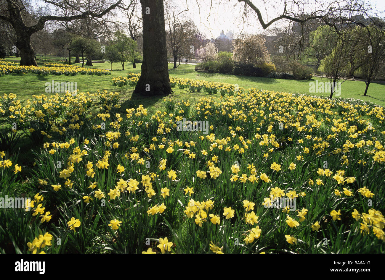Great Britain London St. James Park spring park park meadow trees ...
