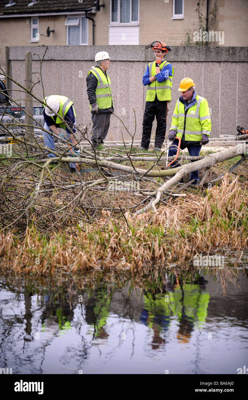 WORKERS CLEARING TREES FROM THE TOW PATH AT STONEHOUSE AS PART OF THE RESTORATION WORKS ON THE STROUDWATER NAVIGATION CANAL GLOU Stock Photo