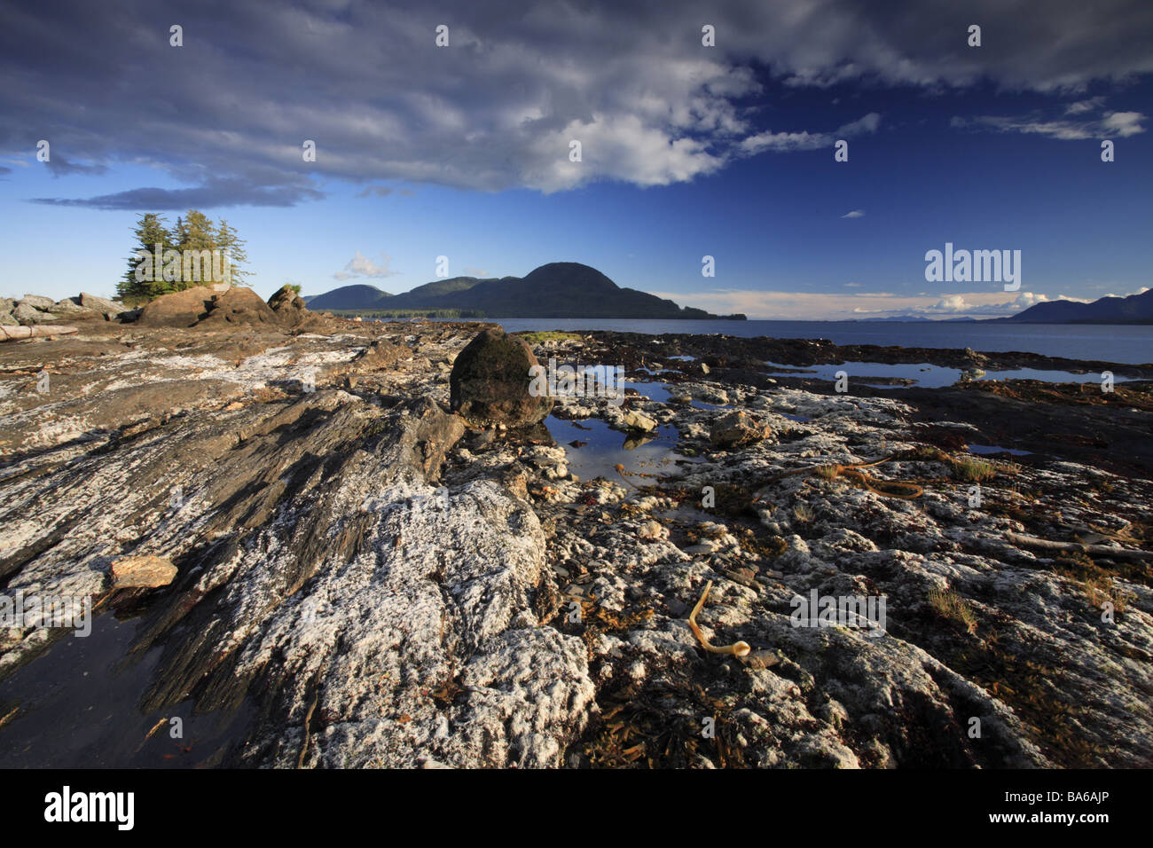 USA Alaska Alexanderarchipelago Revillagigedo Iceland coastlandscape